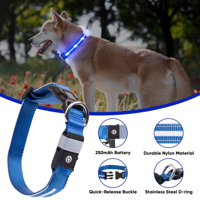 LED Dog Collar