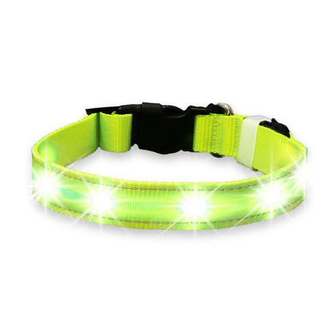 LED Dog Collar