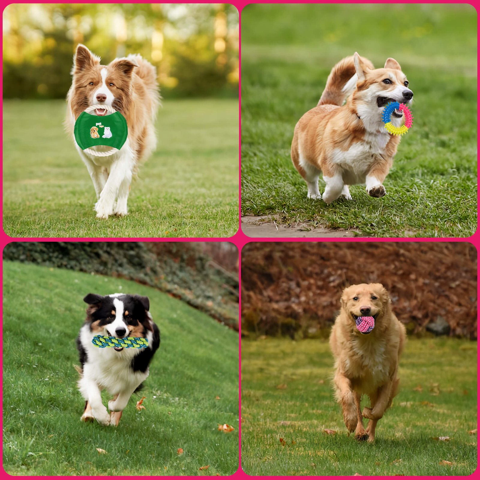 Pet dog cotton ball rope