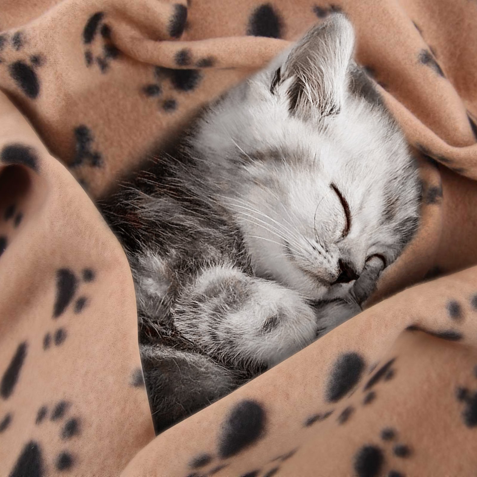 Pack of 3 Large Soft Fleece Pet Blanket