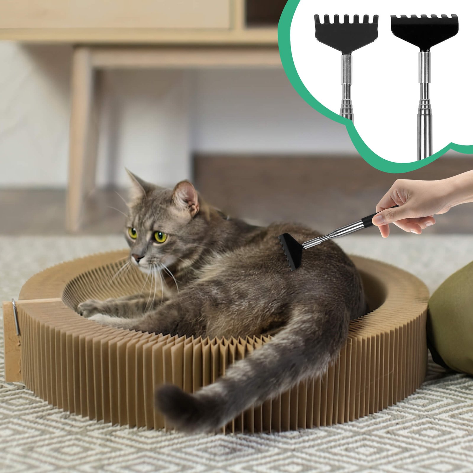 2pcs Detachable Heads