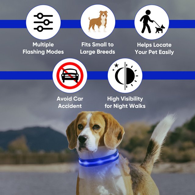 LED Dog Collar
