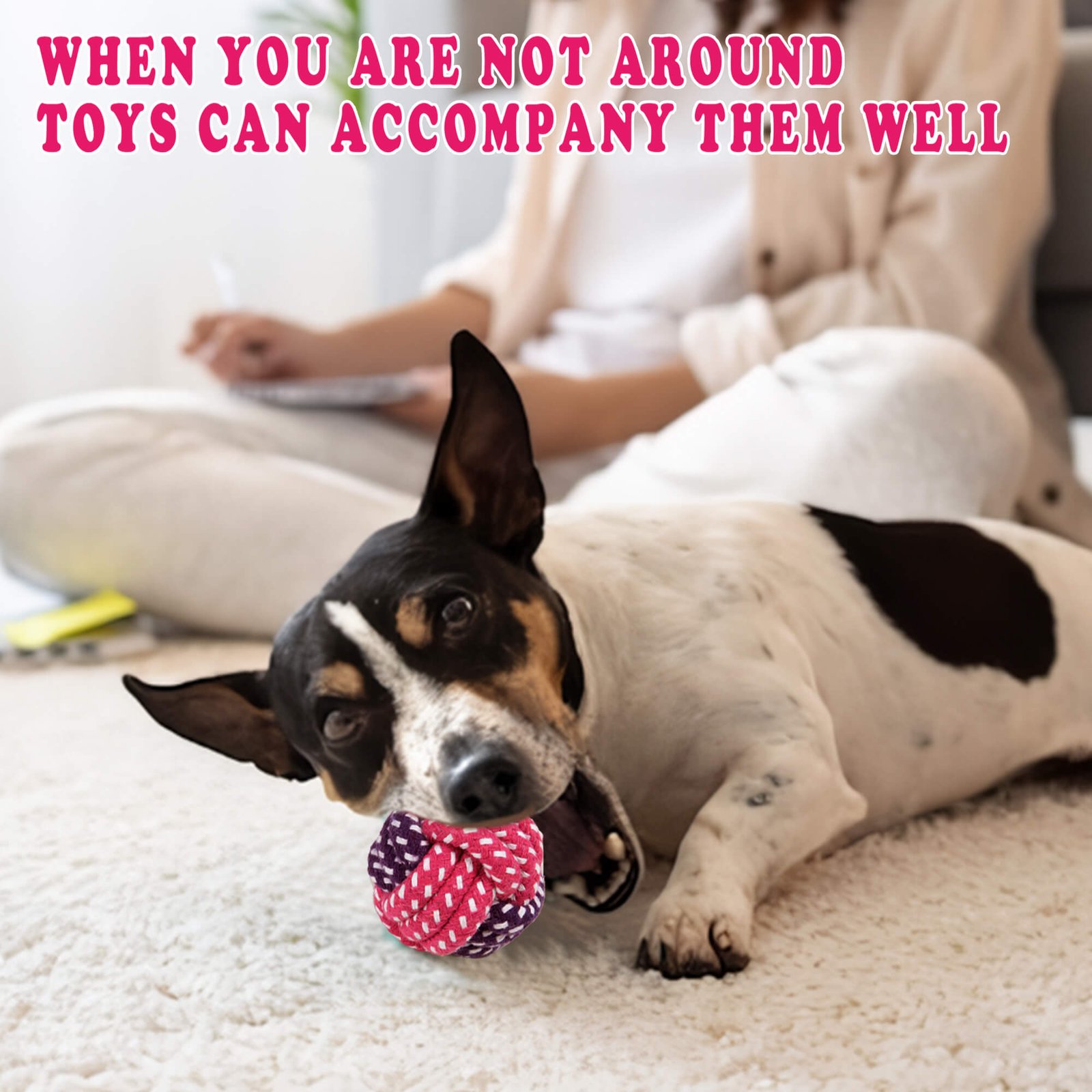 Pet dog cotton ball rope