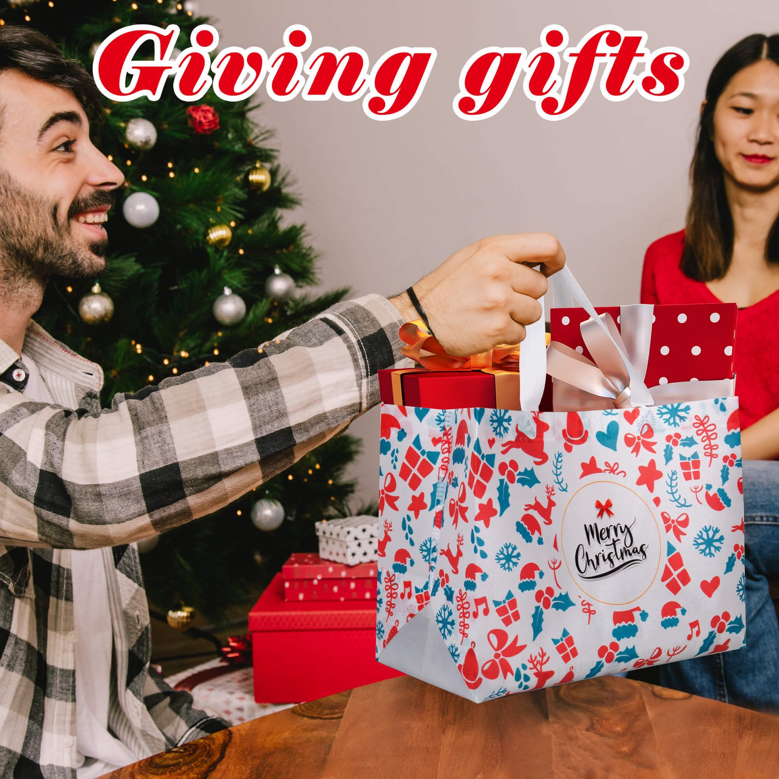 12pk Christmas Gift Bags